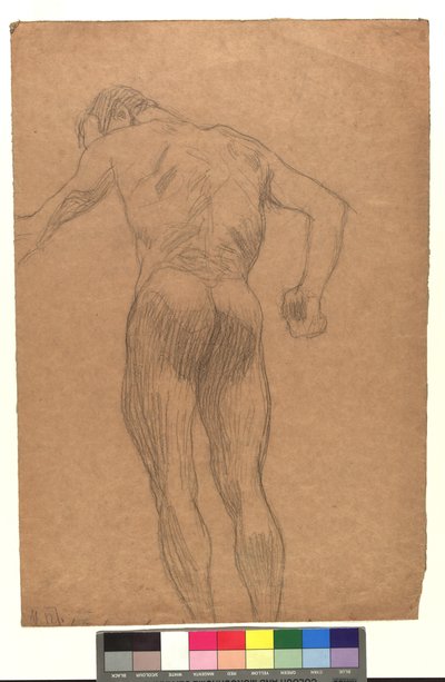 Männlicher Rückenakt in Untersicht tekijältä Gustav Klimt