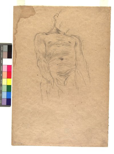 Männlicher Torso tekijältä Gustav Klimt