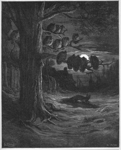 Intian kettu ja kanat - Jean de La Fontainen (Lafontaine) (1621-95) "Fablesista" - kaiverrus Gustave Doren (1832-83) mukaan - Yksityinen kokoelma tekijältä Gustave (after) Dore