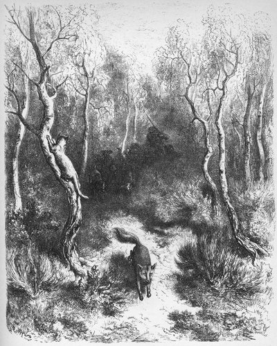 le chat et le fox - Kettu ja kissa - Jean de La Fontainen (Lafontaine) (1621-95) "Fablesista" - kaiverrus Gustave Doren (1832-83) mukaan - Yksityinen kokoelma tekijältä Gustave (after) Dore