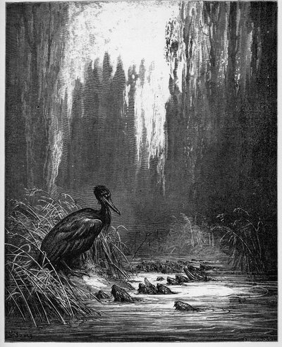 kala ja merimetso - kala ja merimetso - Jean de La Fontainen (Lafontaine) (1621-95) "Fablesista" - kaiverrus Gustave Doren (1832-83) mukaan - Yksityinen kokoelma tekijältä Gustave (after) Dore