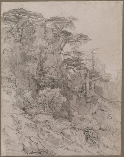 Kalliorinteen puut tekijältä Gustave Achille Guillaumet