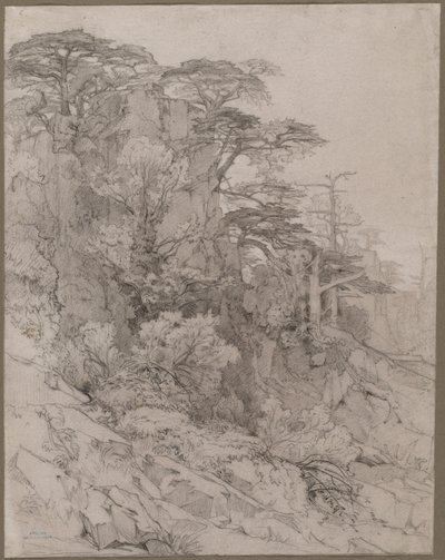 Kalliorinteen puut 1800-luvun lopulla. tekijältä Gustave Achille Guillaumet