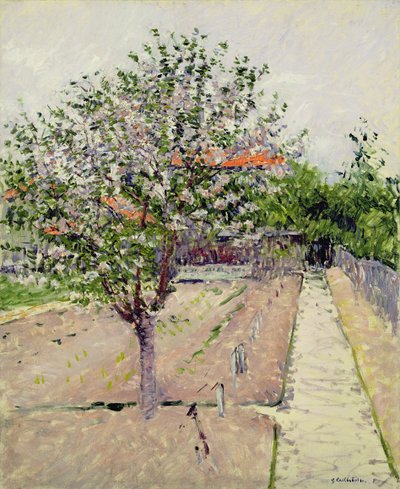 Apple Tree in Blossom, noin 1885 tekijältä Gustave Caillebotte