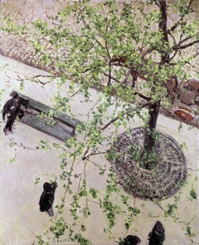 Boulevard ylhäältä katsottuna, 1880 tekijältä Gustave Caillebotte