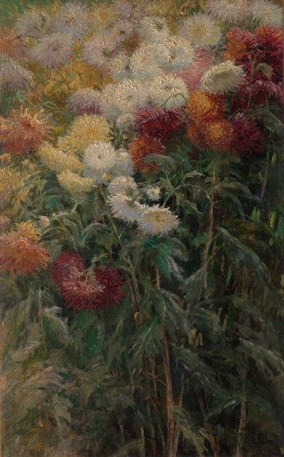 Krysanteemit puutarhassa Petit-Gennevilliersissä tekijältä Gustave Caillebotte