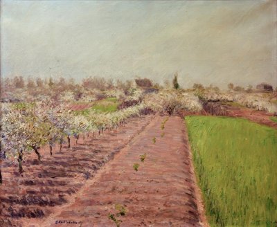 Omenapuut kukkivat, Colombesin rinteessä tekijältä Gustave Caillebotte