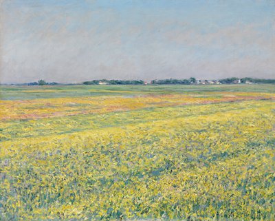 Gennevilliersin tasanko, keltaiset pellot tekijältä Gustave Caillebotte