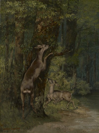ranska: Cerfs dans la forêt Peer in the Forest Peurat metsässä tekijältä Gustave Courbet