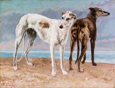 Comte de Choiseulin vinttikoirakilpailut tekijältä Gustave Courbet