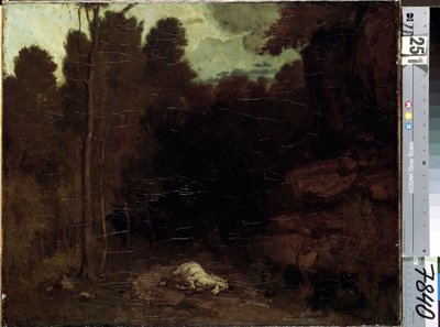 Tuntematon kuva tekijältä Gustave Courbet
