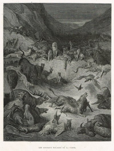 Ruttoon sairastuneet eläimet tekijältä Gustave Dore