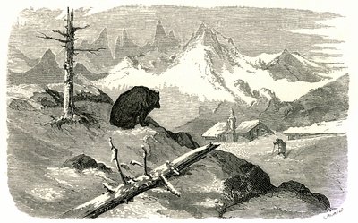 Gustave Doren kaiverrus, joka kuvittaa kirjaa "Voyage aux Pyrenees d