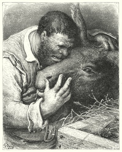 Gustave Doren Don Quijote: ""Tule tänne", hän sanoi, "ystäväni; sinä uskollinen kumppani ja osanottaja matkoillani ja kurjillani" (kaiverrus) tekijältä Gustave Dore