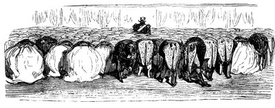 Pyhän Venäjän historia. Suuri pallo Talvipalatsissa, 1854. tekijältä Gustave Dore
