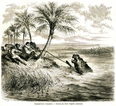 Metsästys Teoghe-joella, joka on Ngami-joen sivujoki. Virtahevon harppuuna. Gustave Doren kaiverrus, joka kuvaa "les aventures et chasse du voyageur Charles-Jean Anderson dans l