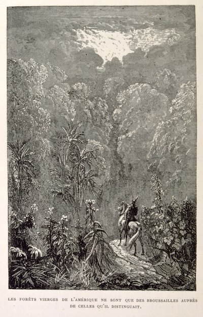 Kuva amerikkalaisesta metsästä. lähteestä La legende de Croque-Mitaine. tekijältä Gustave Dore