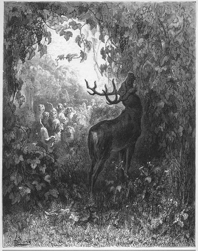PURVI JA KÖYNÖS - Hirvi ja viiniköynnös - Jean de La Fontainen "Fablesista" tekijältä Gustave Dore