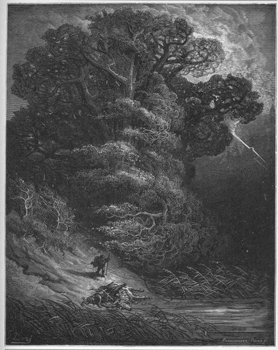 Tammi ja verkko - Tammi ja ruoko - Jean de La Fontainen "Fables" -sarjasta tekijältä Gustave Dore