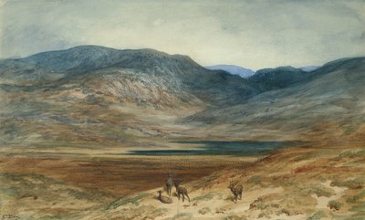Vuoristoinen maisema polttareilla, 1873 (wc ja värikynä paperilla) tekijältä Gustave Dore
