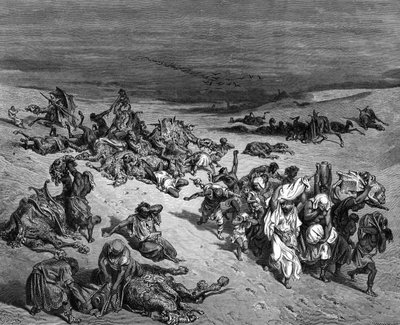 Rutto on yksi Egyptin seitsemästä vitsauksesta: Exodus. Kuvittaja Gustave Dore (1832-1883), ranskalainen taidemaalari ja kirjankuvittaja Raamatulle (Lontoo 1866). Puunkaiverrus. tekijältä Gustave Dore