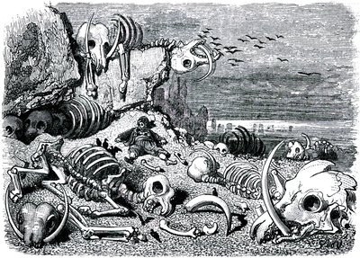 Sindbad the sailor (Sinbad) - tarina tuhannesta ja yhdestä (1001) yöstä - kuvitus Gustave Dore - painos Maxwell 1865 - Seitsemäs ja viimeinen matka: norsujen hautausmaa, jossa Sindbad saa norsunluupuolustukset talteen tekijältä Gustave Dore