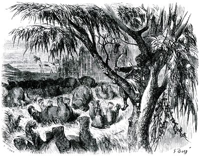 Sindbad the sailor (Sinbad) - tarina tuhannesta ja yhdestä (1001) yöstä - kuvitus Gustave Dore - painos Maxwell 1865 - Seitsemäs matka: Sindbad, istuu puussa, vetää jousellaan norsuja... tekijältä Gustave Dore