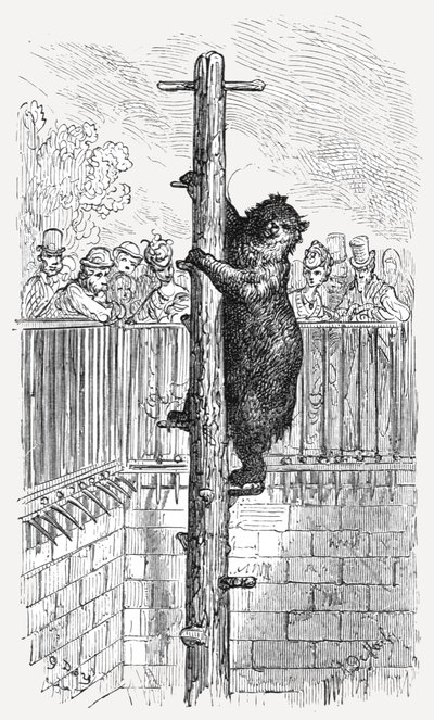 "The Bear Pit - Zoological Gardens", 1872. tekijältä Gustave Dore