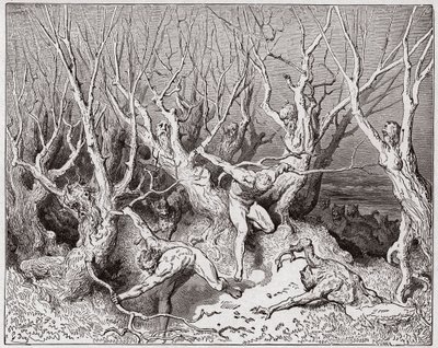 Jumalallinen komedia (La Divina Commedia, La Divine Comedie), Inferno, Canto 13: Itsemurhat pakenevat metsästä - Dante Alighieri (1265-1321) - Kuvitus Gustave Dore (1832-1883) tekijältä Gustave Dore