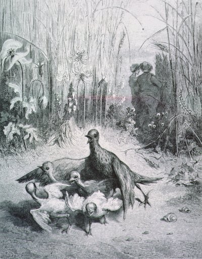 The Fable of the Lark, hänen nuoret ja alan mestari, kuvitus Fables of La Fontainen rnrn tekijältä Gustave Dore