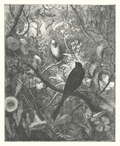 La Fontainen sadut: Philomel ja Progne (kaiverrus). tekijältä Gustave Dore