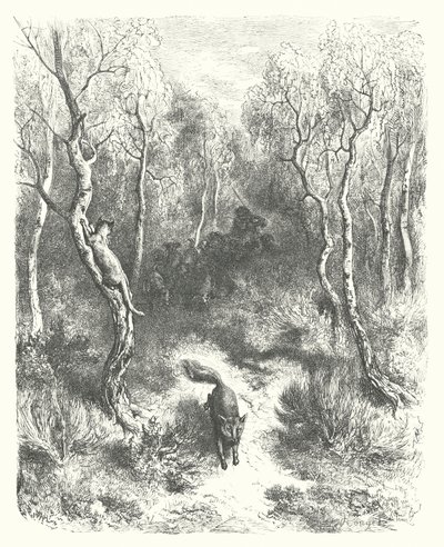 La Fontainen sadut: Fontaine: Kissa ja kettu (kaiverrus). tekijältä Gustave Dore