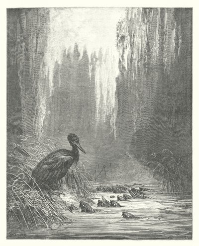 La Fontainen sadut: Merimetso ja kalat (kaiverrus). tekijältä Gustave Dore