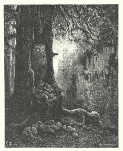 La Fontainen sadut: Fontaine: Pöllö ja hiiret (kaiverrus). tekijältä Gustave Dore