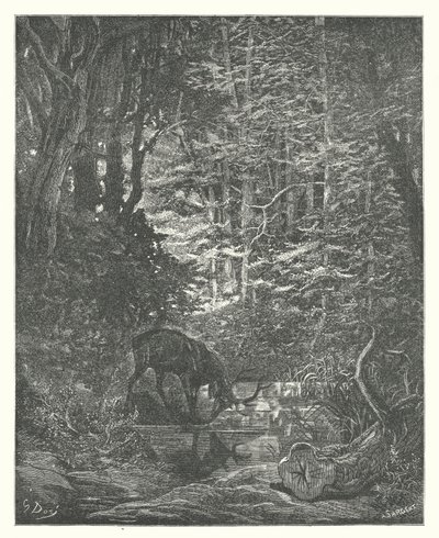 La Fontainen sadut: (kaiverrus): Hirvi katselee itseään virrassa (kaiverrus) tekijältä Gustave Dore