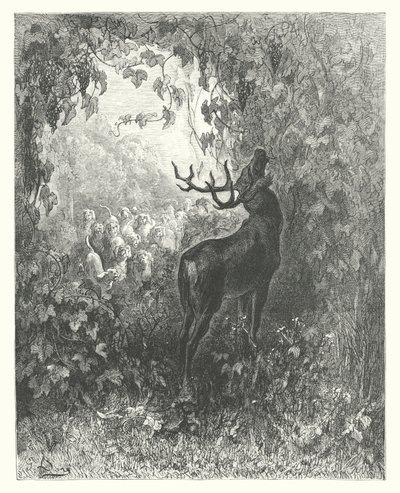 La Fontainen sadut: Fontaine: Hirvi ja viiniköynnös (kaiverrus). tekijältä Gustave Dore