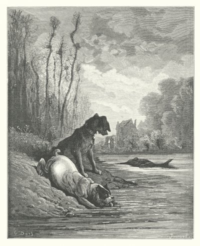 La Fontainen sadut: Fontaine: Kaksi koiraa ja kuollut aasi (kaiverrus). tekijältä Gustave Dore