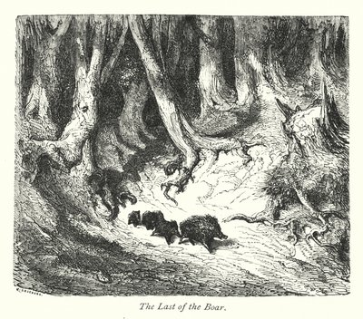 Viimeinen villisika (kaiverrus) tekijältä Gustave Dore
