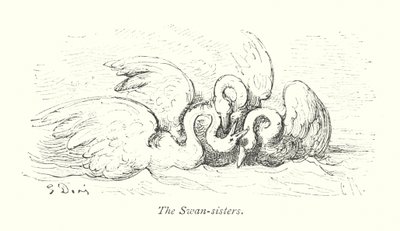 Joutsenen sisaret (kaiverrus) tekijältä Gustave Dore