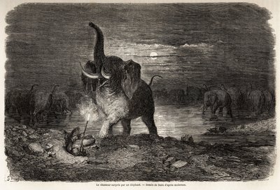 Metsästäjä yllätti norsun lähellä Ngami-järveä (Botswana), Gustave Doren (1832-1883) piirtämä Charles Jean Andersonin seikkailuja ja metsästystä Etelä-Afrikassa. Kaiverrus "" Le tour du monde, nouveau journal des voyages"" Paris tekijältä Gustave Dore
