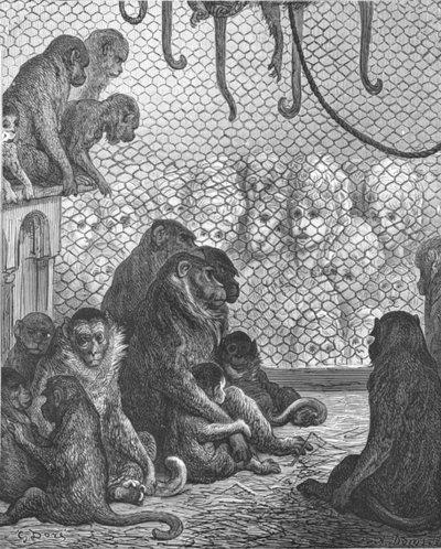 "Zoological Gardens - The Monkey House", 1872. tekijältä Gustave Dore
