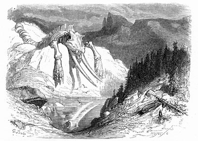 Gustave Doren kaiverrus noin vuonna 1850: apokalyptinen vedenpaisumus, jonka seurauksena vuorelle on pudonnut erilaisia hirviöeläimiä. Kuvitus Hippolyte Tainen kirjaan "Matka Pyreneille", jossa fossiilisten luiden esiintyminen on osoitettu. tekijältä Gustave Dore