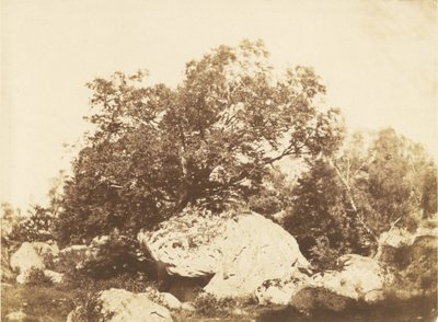 Boulder at Cabat, Epine Crossroads Forest of Fontainebleau tekijältä Gustave Le Gray