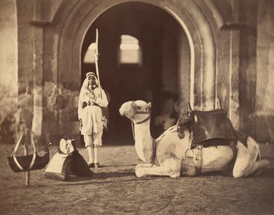 Kameli makuulla, n.1866 (syväpaino) tekijältä Gustave Le Gray
