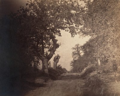 Fontainebleau, hiekkatie ylämäkeen, n. 1856. tekijältä Gustave Le Gray