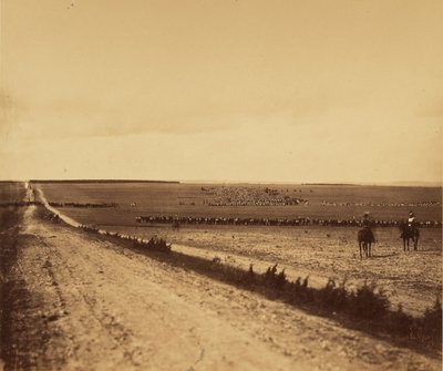 [Manööverit, Camp de Chalons]. tekijältä Gustave Le Gray
