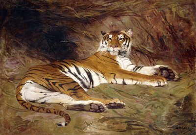 Makaava tiikeri tekijältä Gustave Surand