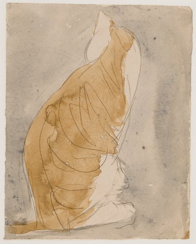 Tutkimus kissasta (vesiväri  lyijykynä paperille) tekijältä Gwen John