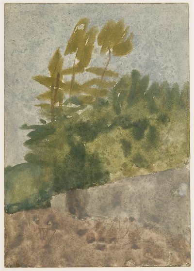 Puut (akvarelli, guassi ja kynä paperille) tekijältä Gwen John