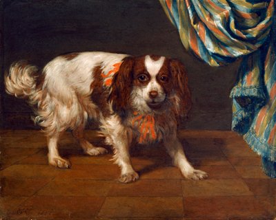 King Charles Spaniel (öljy paneelissa) tekijältä Gysbert van de Kuyl